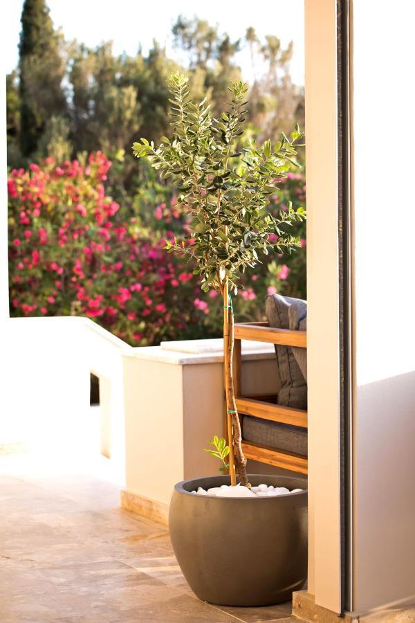Myrties Horizon Hotel Kalymnos מראה חיצוני תמונה